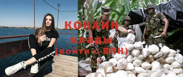 МДПВ Алзамай