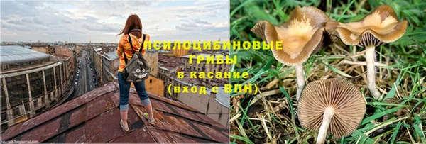 марки nbome Алексеевка