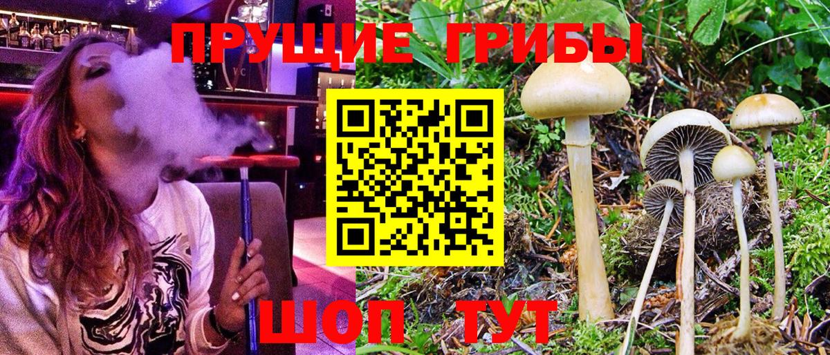 Дзержинский  Экстази  Альфа ПВП СОЛЬ   МЕФ кристаллы  Вход с VPN  Бошки Шишки 